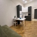 Аренда 2 комнатная Новостройка, м. 28 Мая метро, Насими район 2
