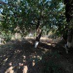 Продажа Участок, м. Ахмедли метро, пос. Старый Гуняшли, Хетаи район 3