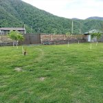 Kirayə (günlük) 4 otaqlı Həyət evi/villa Qax 2