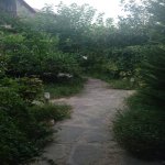 Посуточно 1 комнат Дача, пос. Пиршаги, Сабунчу район 8