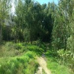 Продажа Участок, м. Хетаи метро, пос. А.Асланов, Хетаи район 1