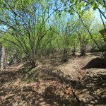 Satılır Torpaq Qax 6