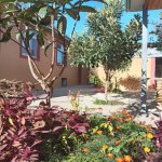 Kirayə (günlük) 3 otaqlı Həyət evi/villa İsmayıllı 11