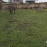 Satılır Torpaq, Saray, Abşeron rayonu 6