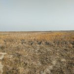 Satılır Torpaq Göyçay 6