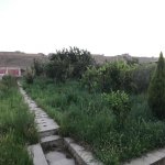 Satılır 3 otaqlı Bağ evi, Goradil, Abşeron rayonu 15