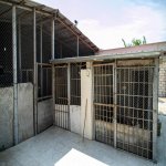 Satılır 3 otaqlı Həyət evi/villa, Ramana qəs., Sabunçu rayonu 33
