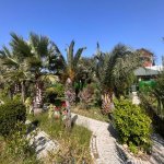 Kirayə (aylıq) 10 otaqlı Bağ evi, Mərdəkan, Xəzər rayonu 33