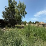 Satılır Torpaq, Mərdəkan, Xəzər rayonu 1