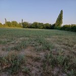 Satılır Torpaq Şəki 2