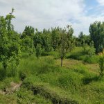 Satılır Torpaq Tərtər 23