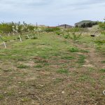 Satılır 3 otaqlı Həyət evi/villa, Buzovna, Xəzər rayonu 28