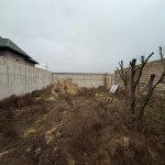 Продажа Участок, Шювалан, Хязяр район 5