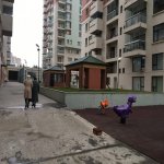 Kirayə (aylıq) 4 otaqlı Yeni Tikili, 20 Yanvar metrosu, Yasamal rayonu 1