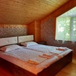 Kirayə (günlük) 5 otaqlı Həyət evi/villa Qəbələ 13