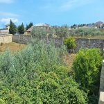 Satılır Torpaq, Novxanı, Abşeron rayonu 6