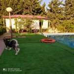 Kirayə (aylıq) 6 otaqlı Həyət evi/villa, Badamdar qəs., Səbail rayonu 9