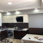 Kirayə (aylıq) 2 otaqlı Yeni Tikili, Gənclik metrosu, Nərimanov rayonu 7