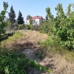 Satılır Torpaq, Novxanı, Abşeron rayonu 2