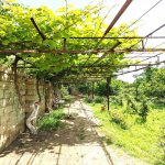 Satılır 3 otaqlı Həyət evi/villa, Maştağa qəs., Sabunçu rayonu 25