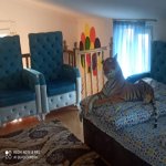 Kirayə (günlük) 3 otaqlı Həyət evi/villa Qax 12