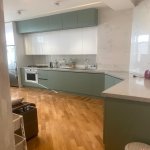 Kirayə (aylıq) 2 otaqlı Yeni Tikili, Nəriman Nərimanov metrosu, Nəriman Nərimanov parkı, Nərimanov rayonu 1