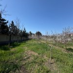 Продажа Участок, Мярдякан, Хязяр район 4