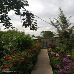 Kirayə (günlük) 4 otaqlı Bağ evi Qəbələ 1