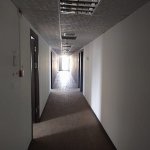 Kirayə (aylıq) 8 otaqlı Ofis, Nəsimi rayonu 7
