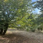 Satılır Torpaq Qəbələ 1