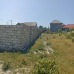 Satılır Torpaq Şəki 3