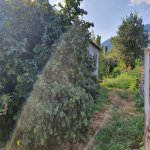 Satılır 3 otaqlı Həyət evi/villa Zaqatala 5
