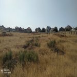 Satılır Torpaq, Masazır, Abşeron rayonu 2