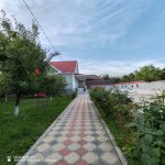 Kirayə (günlük) 4 otaqlı Həyət evi/villa Qəbələ 4
