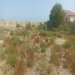 Satılır Torpaq Sumqayıt 5