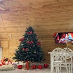 Kirayə (günlük) 3 otaqlı Həyət evi/villa Qəbələ 8