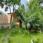 Kirayə (günlük) 2 otaqlı Həyət evi/villa Qəbələ 13