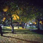 Satılır 2 otaqlı Köhnə Tikili, 20 Yanvar metrosu, 1-ci mikrorayon, Nəsimi rayonu 1