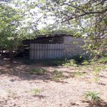 Satılır Torpaq İsmayıllı 11