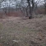 Satılır Torpaq Xızı 6