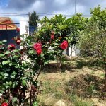 Satılır 6 otaqlı Həyət evi/villa, Yeni Ramana, Sabunçu rayonu 9