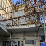 Satılır 11 otaqlı Həyət evi/villa Qazax 12