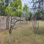 Satılır 10 otaqlı Bağ evi, Novxanı, Abşeron rayonu 9