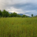 Satılır Torpaq İsmayıllı 2