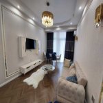 Аренда 2 комнатная Новостройка, Насими район 1