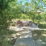 Kirayə (günlük) 3 otaqlı Həyət evi/villa İsmayıllı 8