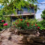 Kirayə (günlük) 3 otaqlı Həyət evi/villa Zaqatala 23