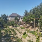 Satılır Torpaq, Ramana qəs., Sabunçu rayonu 2