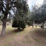 Продажа Участок, Мярдякан, Хязяр район 12