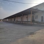 Kirayə (aylıq) Obyekt, Binəqədi rayonu 5